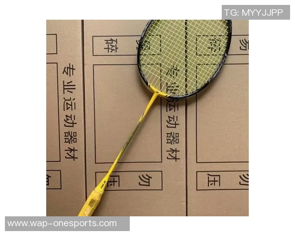 羽毛球装备选购指南球拍推荐与使用技巧分享
