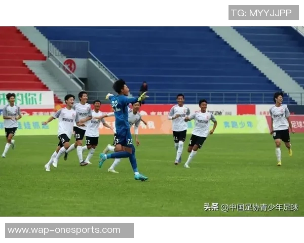 南京足球队荣登全国足球技术排行榜第五名展现出色实力与潜力