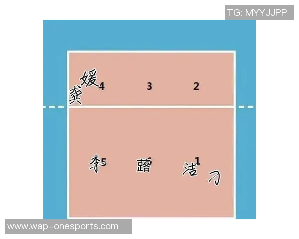 体育实时数据赛后分析武汉排球队与深圳排球队的实力对比与战术探讨